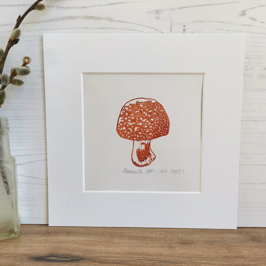 Amanita Fungi- original linocut