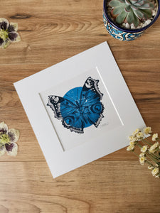 Butterfly Linocut art print, hand printed by Jackdaw and Bear
