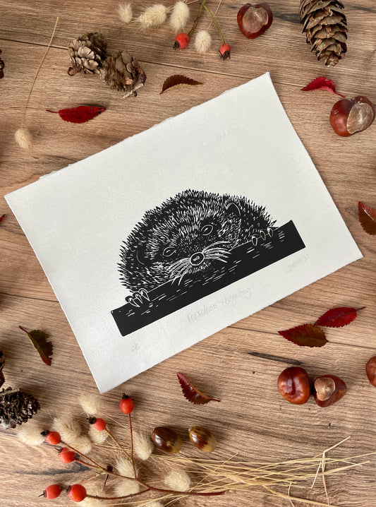 Peekaboo European Hedgehog original mammal Linocut print