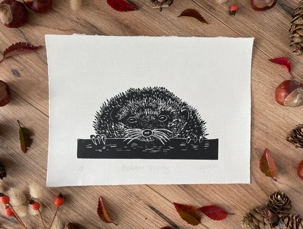 Peekaboo European Hedgehog original mammal Linocut print