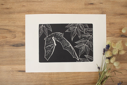 Pipistrelle Bat hand printed linocut nature art print
