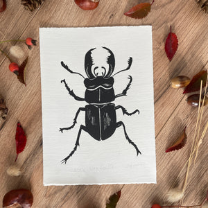 Stag Beetle Lino hand printed insect linocut print