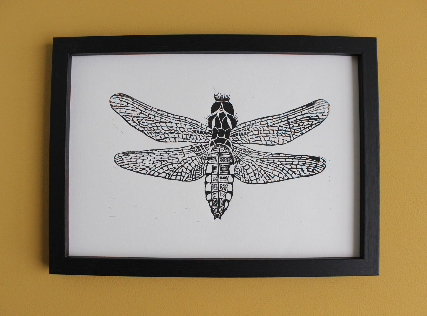 Female Broad Bodied Chaser Dragonfly original Linocut insect print
