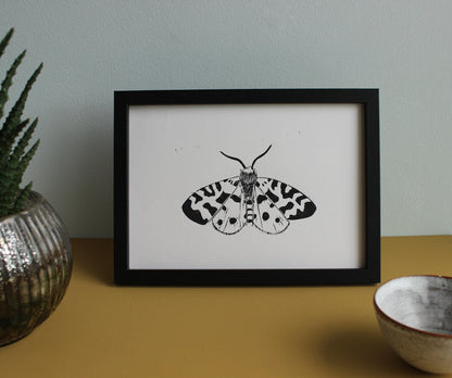 Garden Tiger Moth hand printed insect Linocut print