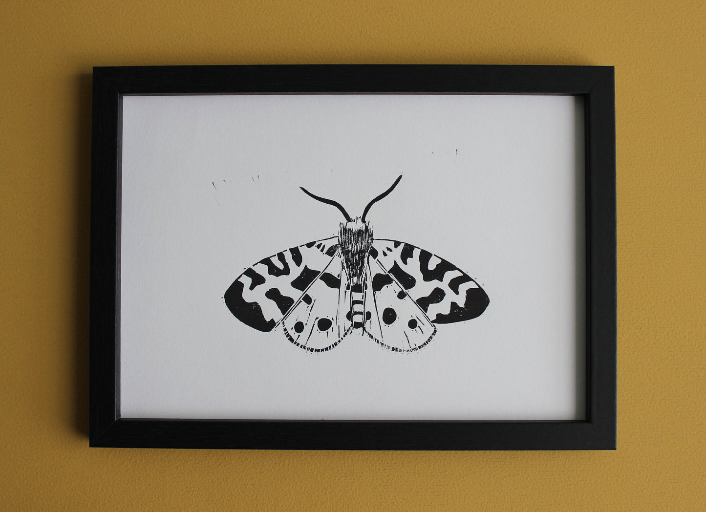 Garden Tiger Moth hand printed insect Linocut print