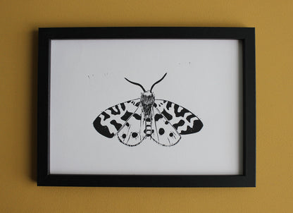 Garden Tiger Moth hand printed insect Linocut print