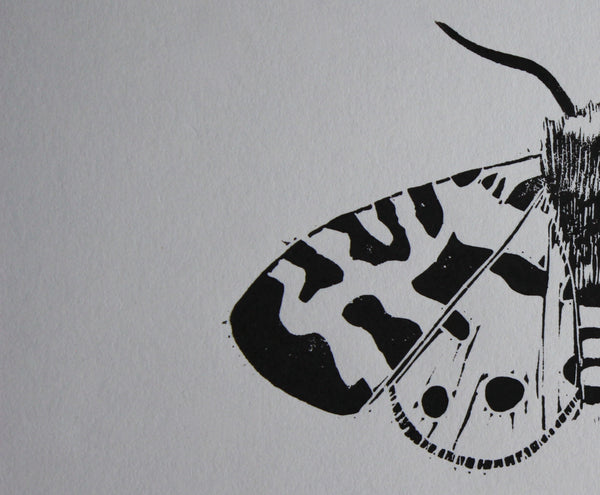 Garden Tiger Moth hand printed insect Linocut print