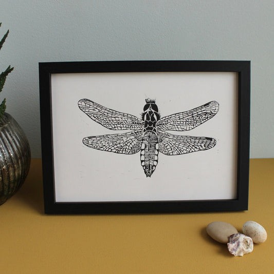 Female Broad Bodied Chaser Dragonfly original Linocut insect print