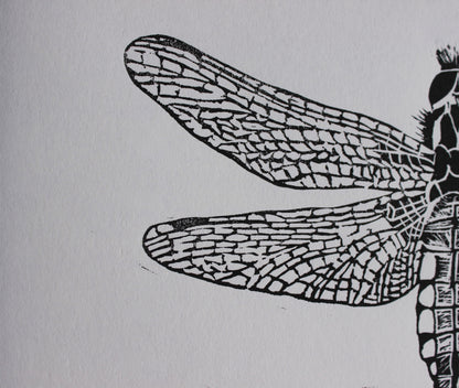 Female Broad Bodied Chaser Dragonfly original Linocut insect print
