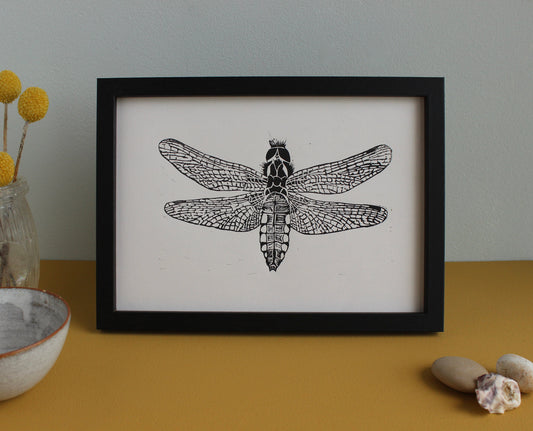 Female Broad Bodied Chaser Dragonfly original Linocut insect print