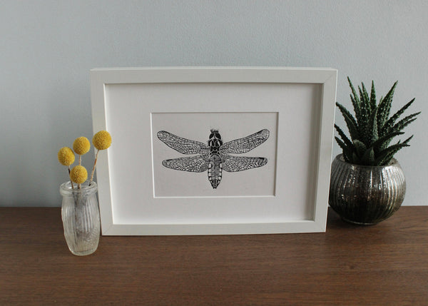 Female Broad Bodied Chaser Dragonfly original Linocut insect print