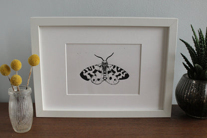 Garden Tiger Moth hand printed insect Linocut print