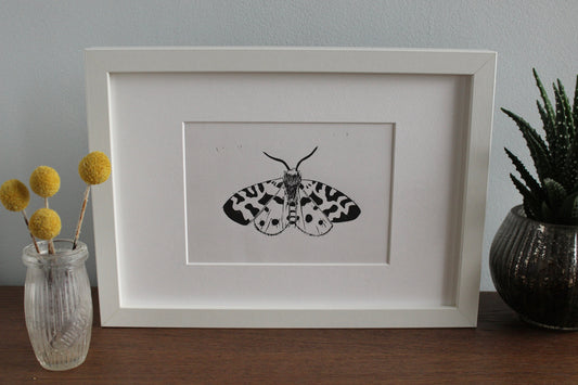 Garden Tiger Moth hand printed insect Linocut print