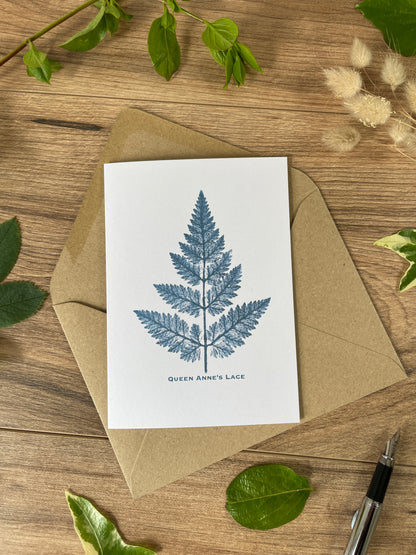 Queen Anne’s Lace botanical greeting card