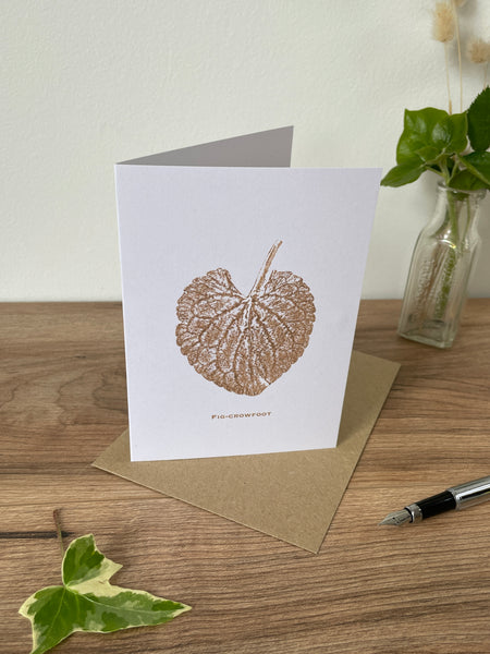 Fig-Crowfoot botanical greeting card