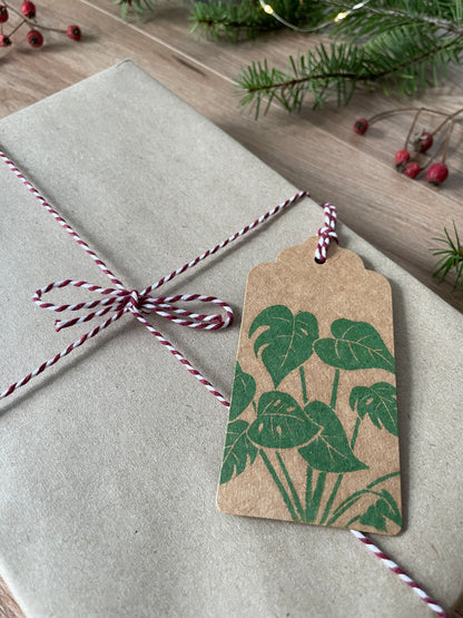 Monstera Gift Tags 6pk