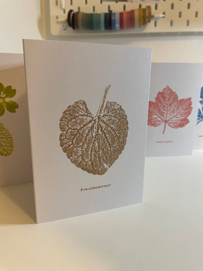 Fig-Crowfoot botanical greeting card