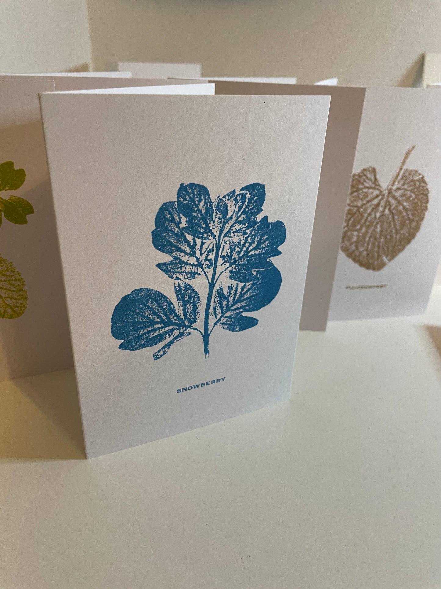 Snowberry -mature botanical greeting card