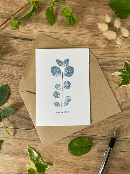 Snowberry -young botanical greeting card