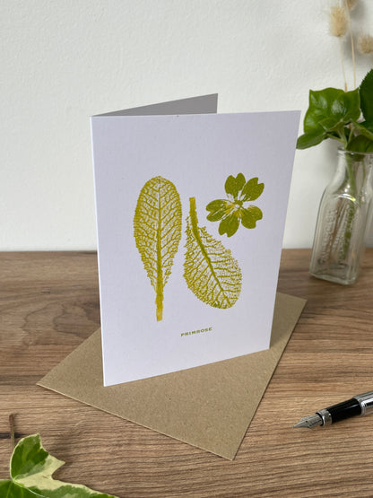 Primrose botanical greeting card
