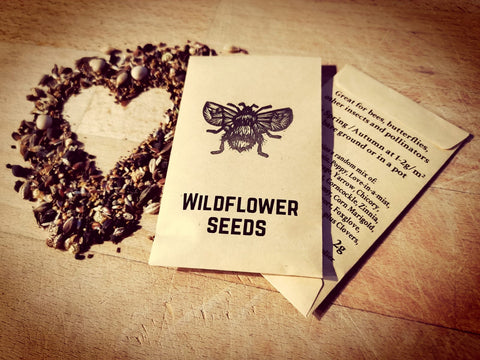 Wildflower Seeds - nature friendly wedding favours and thank you gifts!
