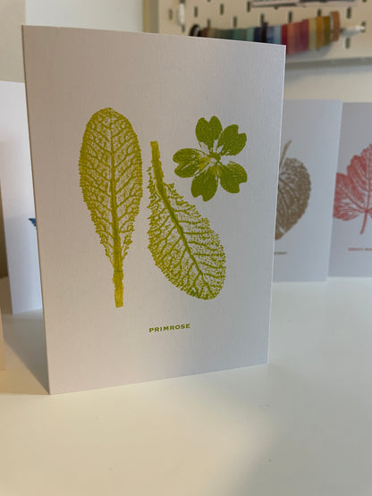 Primrose botanical greeting card