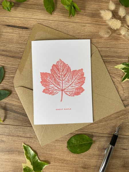 8 pk Botanical Greeting Cards - boxed