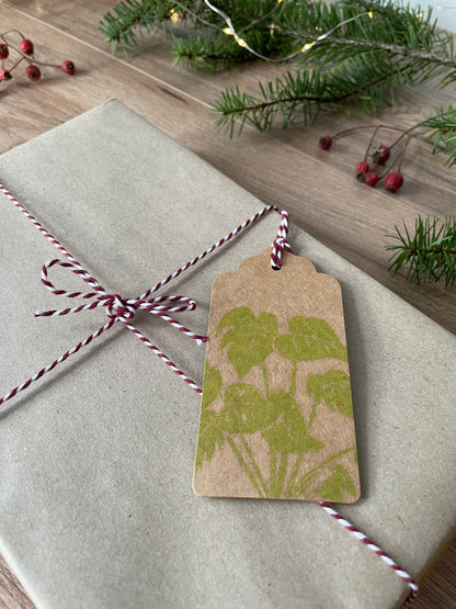 Monstera Gift Tags 6pk
