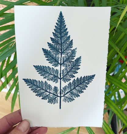 Queen Anne's lace limited edition botanical print