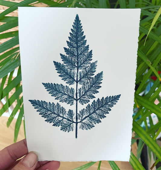 Queen Anne's lace limited edition botanical print