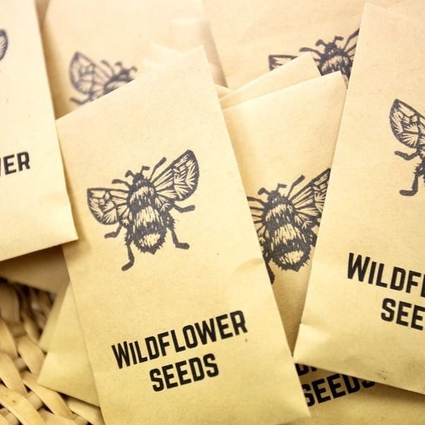 Wildflower Seeds - nature friendly wedding favours and thank you gifts!